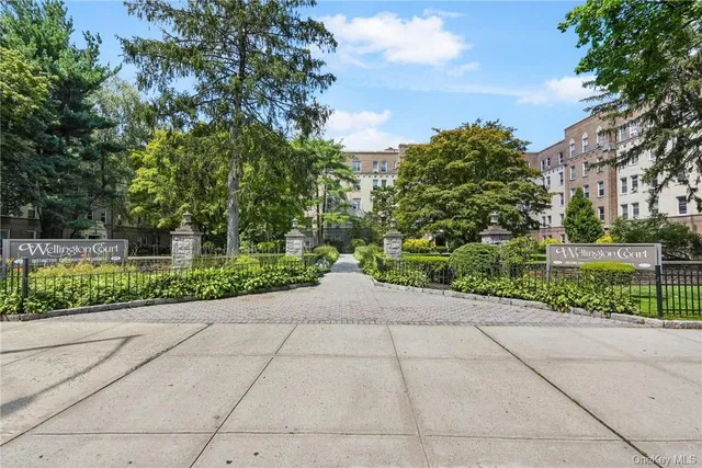 a pathway of a yard with potted plants