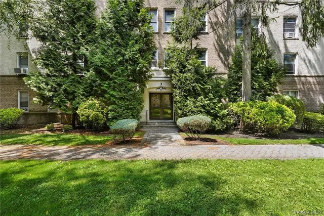 a view of a backyard with plants and large trees