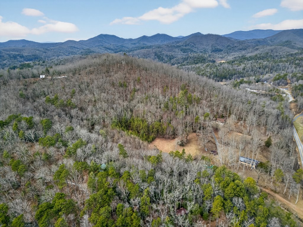 3437 Hanging Dog Road Murphy, NC 28906 - Photo 71 of 87 Gallery Image 71