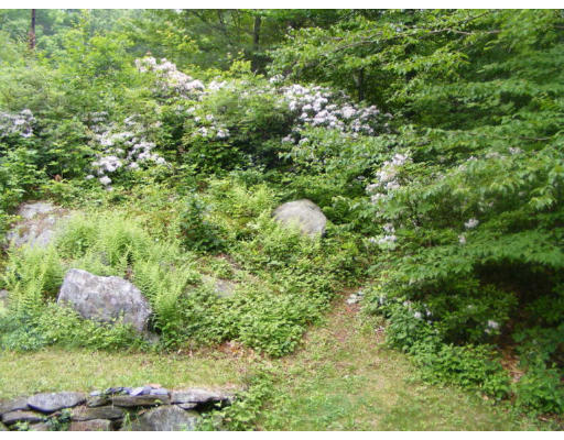 1453 W Road Ashfield, MA 01330 - Photo 5 of 12 a view of a lush green field