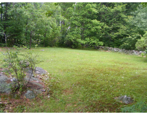 1453 W Road Ashfield, MA 01330 - Photo 6 of 12 a view of a yard with trees in front of it