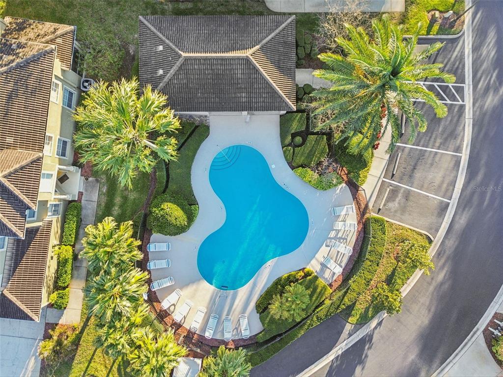 1604 Fieldfare Court Dunedin, FL 34698 - Photo 11 of 46