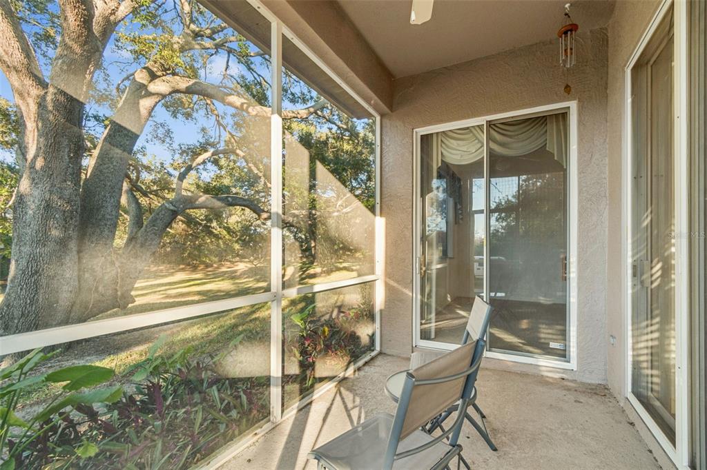 1604 Fieldfare Court Dunedin, FL 34698 - Photo 41 of 46