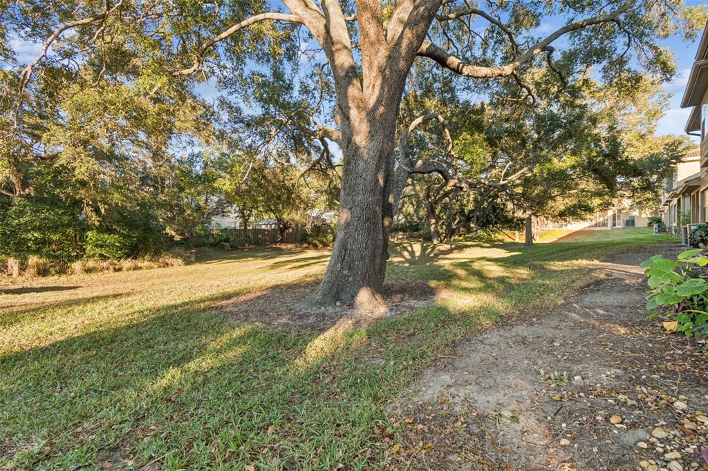 1604 Fieldfare Court Dunedin, FL 34698 - Photo 42 of 46