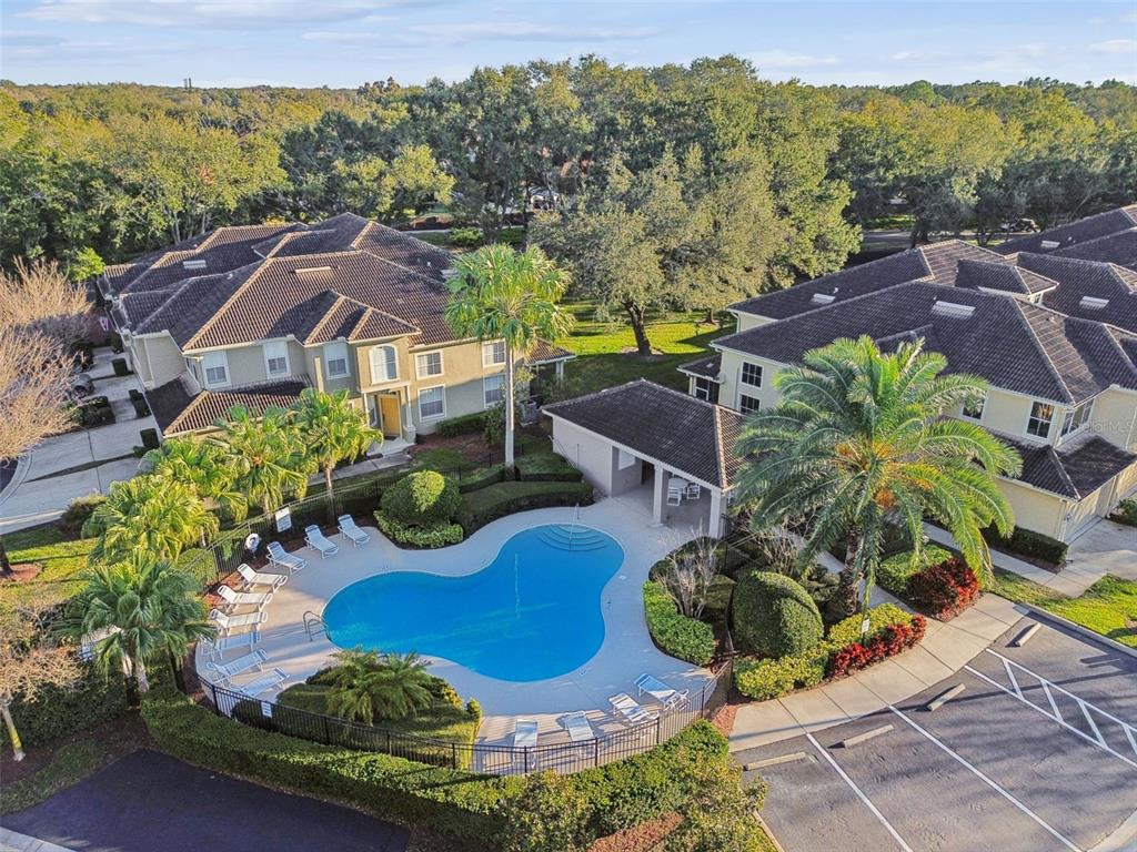 1604 Fieldfare Court Dunedin, FL 34698 - Photo 45 of 46