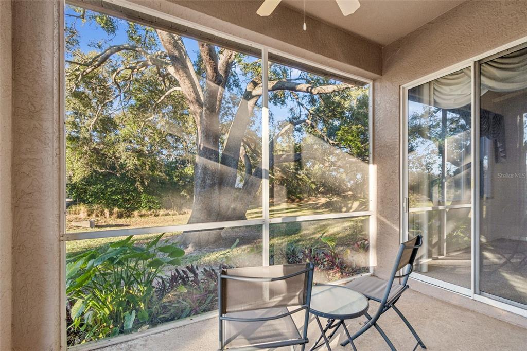 1604 Fieldfare Court Dunedin, FL 34698 - Photo 7 of 46