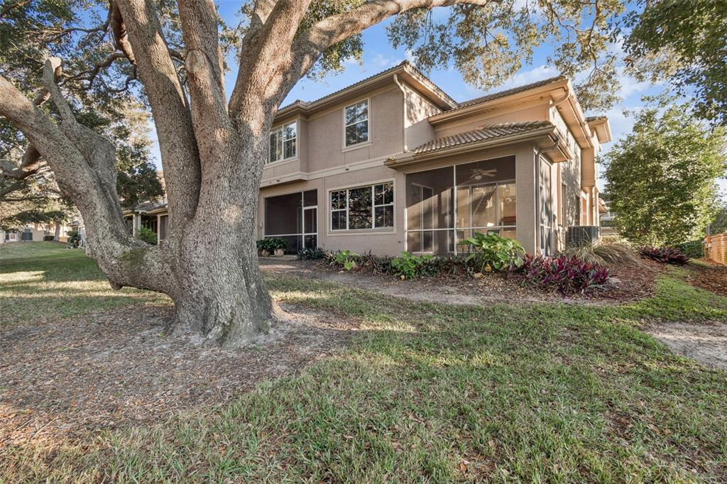 1604 Fieldfare Court Dunedin, FL 34698 - Photo 9 of 46