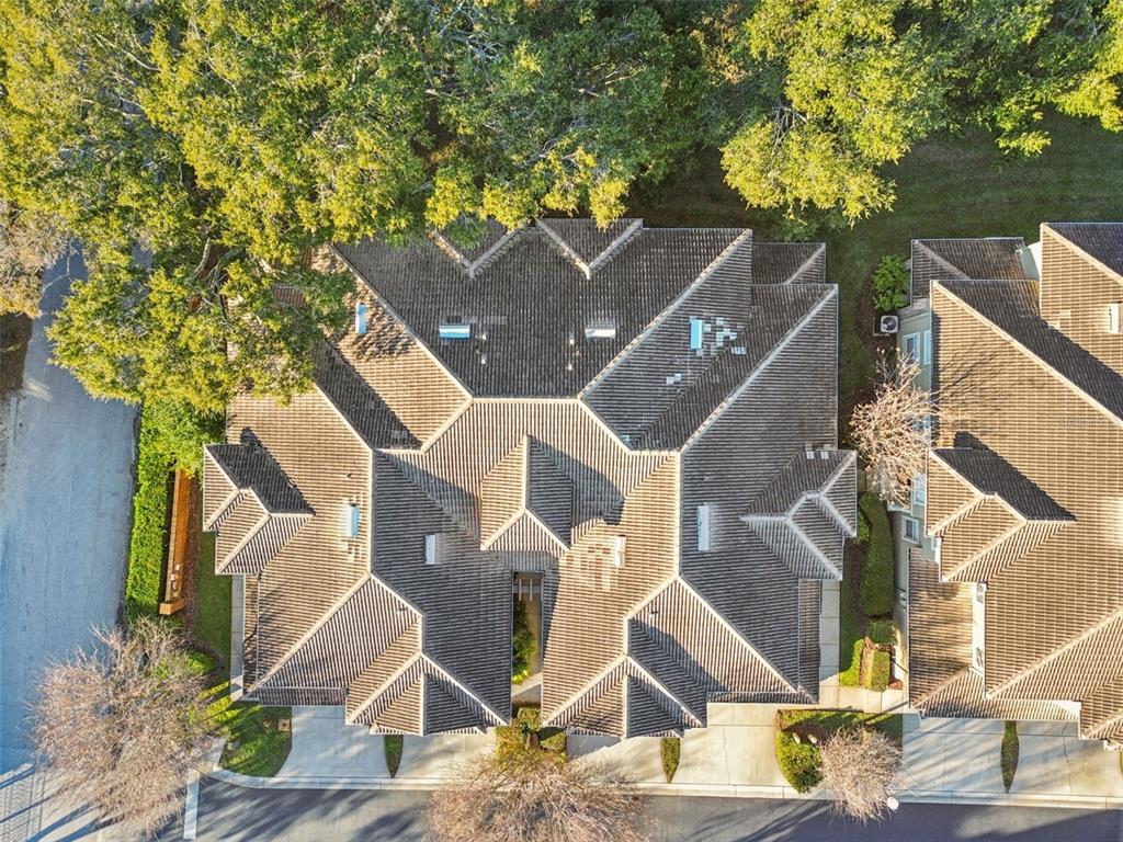 1604 Fieldfare Court Dunedin, FL 34698 - Photo 10 of 46