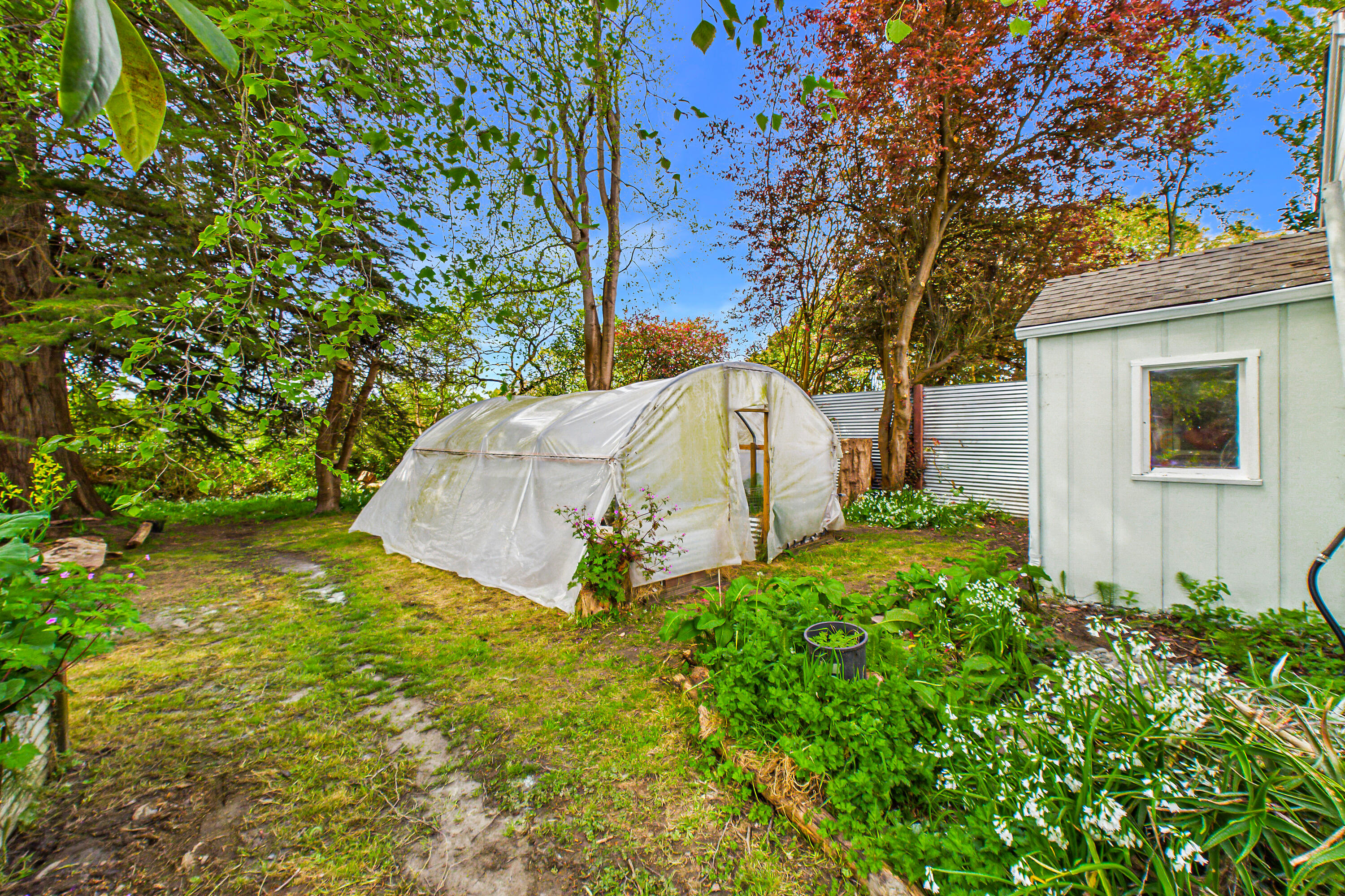 369 H Street Arcata, CA 95521 - Photo 32 of 36
