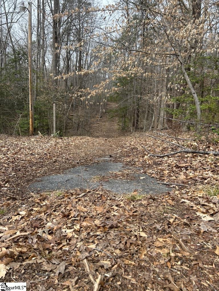 355 Raines Road Easley, SC 29640 - Photo 3 of 9