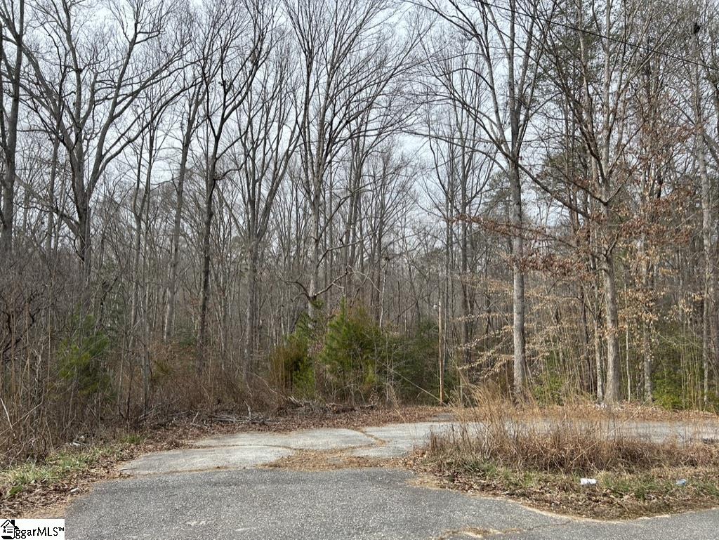 355 Raines Road Easley, SC 29640 - Photo 7 of 9