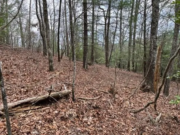 $39,800 | Lot 33 Sahkanaga Drive, Murphy, NC 28906