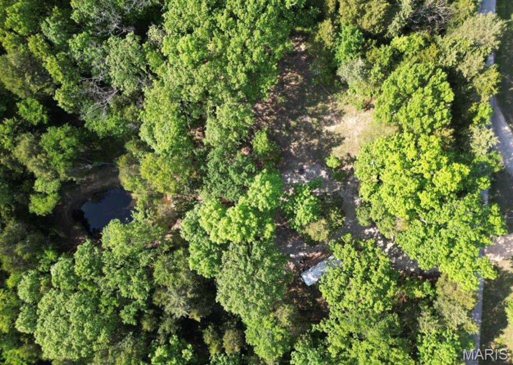 9041 Rye Creek Road Lonedell, MO 63060 - Photo 11 of 54