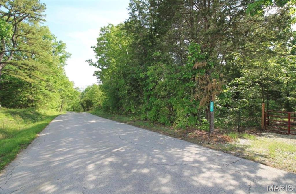 9041 Rye Creek Road Lonedell, MO 63060 - Photo 13 of 54