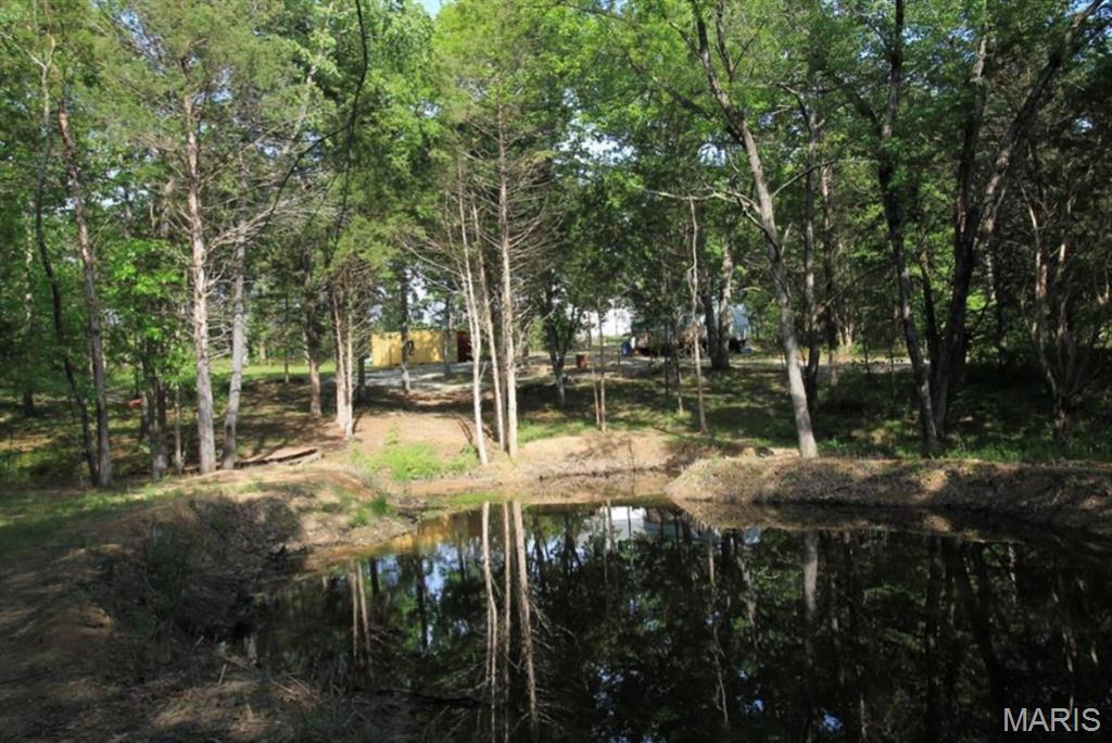 9041 Rye Creek Road Lonedell, MO 63060 - Photo 21 of 54