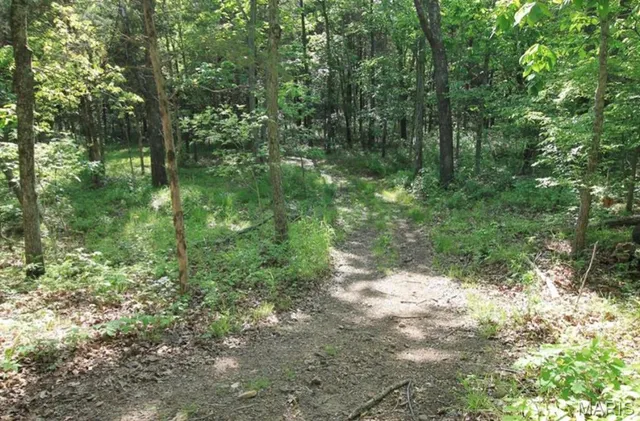 $80,000 | 9041 Rye Creek Road, Lonedell, MO 63060