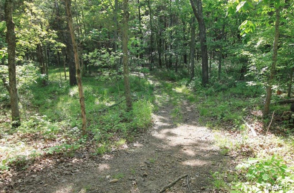 9041 Rye Creek Road Lonedell, MO 63060 - Photo 23 of 54