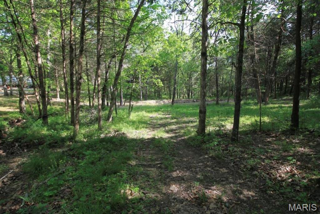 9041 Rye Creek Road Lonedell, MO 63060 - Photo 24 of 54