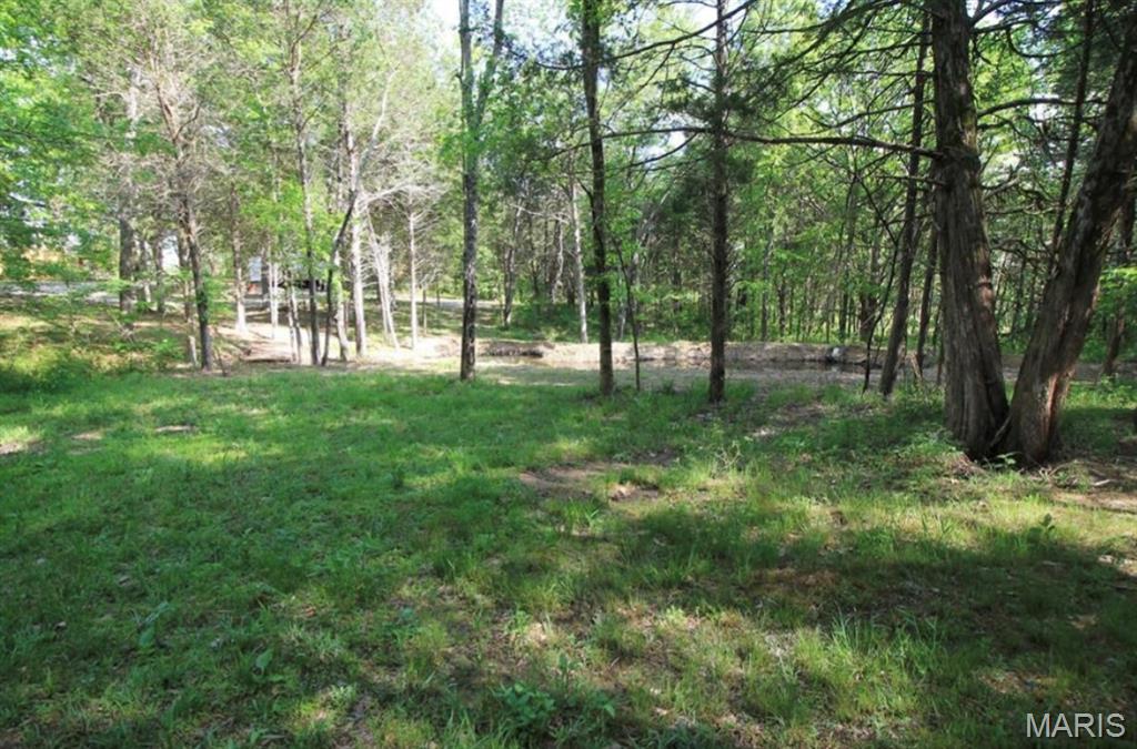 9041 Rye Creek Road Lonedell, MO 63060 - Photo 25 of 54