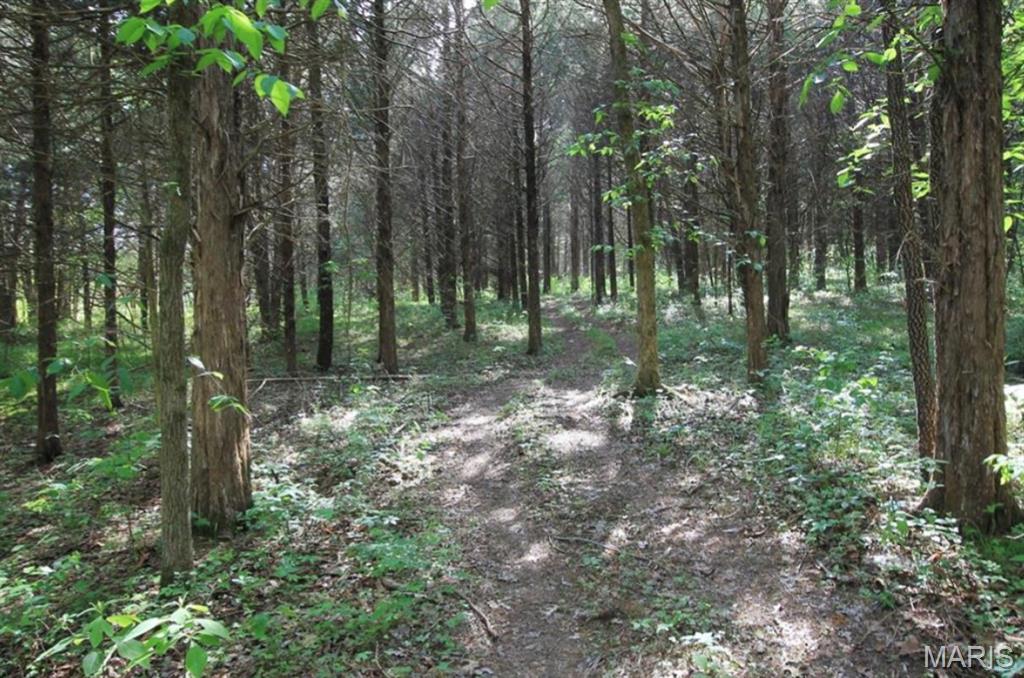 9041 Rye Creek Road Lonedell, MO 63060 - Photo 26 of 54