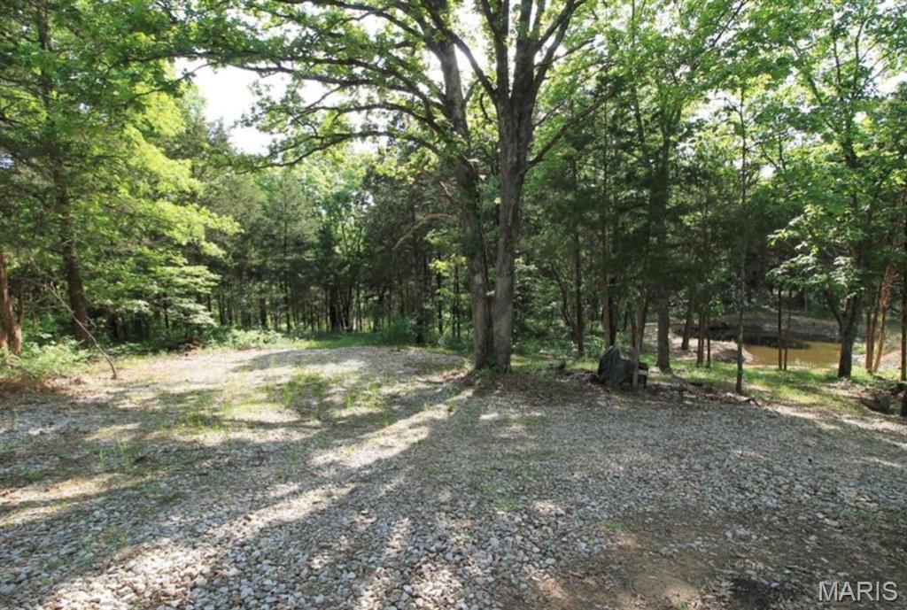 9041 Rye Creek Road Lonedell, MO 63060 - Photo 28 of 54