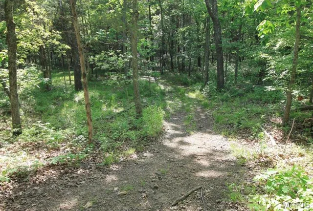 $80,000 | 9041 Rye Creek Road, Lonedell, MO 63060