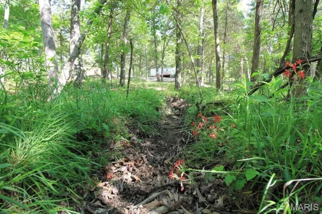 $80,000 | 9041 Rye Creek Road, Lonedell, MO 63060