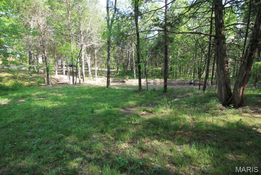 9041 Rye Creek Road Lonedell, MO 63060 - Photo 32 of 54