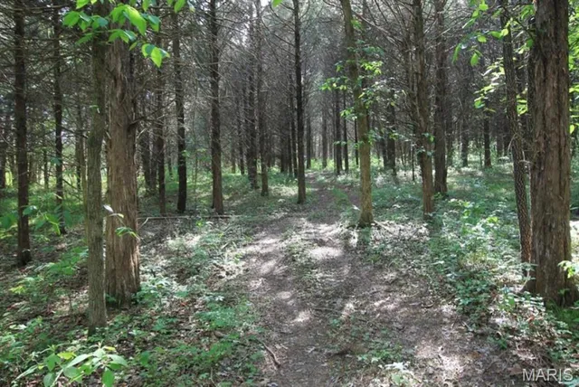 $80,000 | 9041 Rye Creek Road, Lonedell, MO 63060