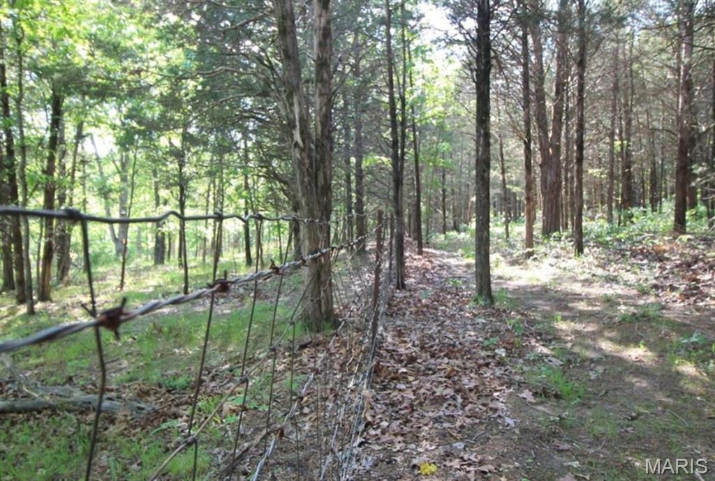 9041 Rye Creek Road Lonedell, MO 63060 - Photo 34 of 54