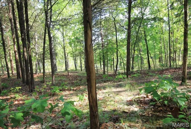 $80,000 | 9041 Rye Creek Road, Lonedell, MO 63060