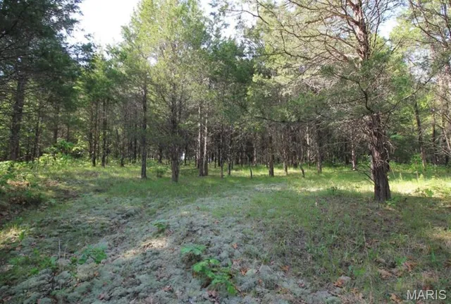 $80,000 | 9041 Rye Creek Road, Lonedell, MO 63060