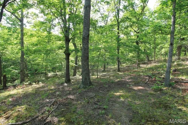 $80,000 | 9041 Rye Creek Road, Lonedell, MO 63060