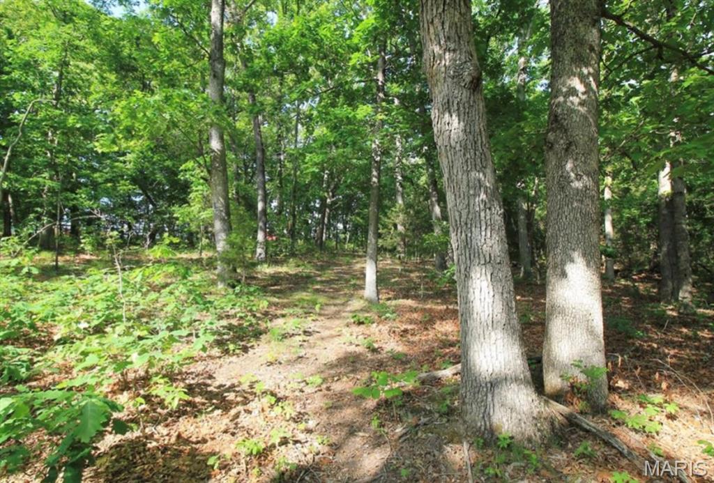 9041 Rye Creek Road Lonedell, MO 63060 - Photo 38 of 54