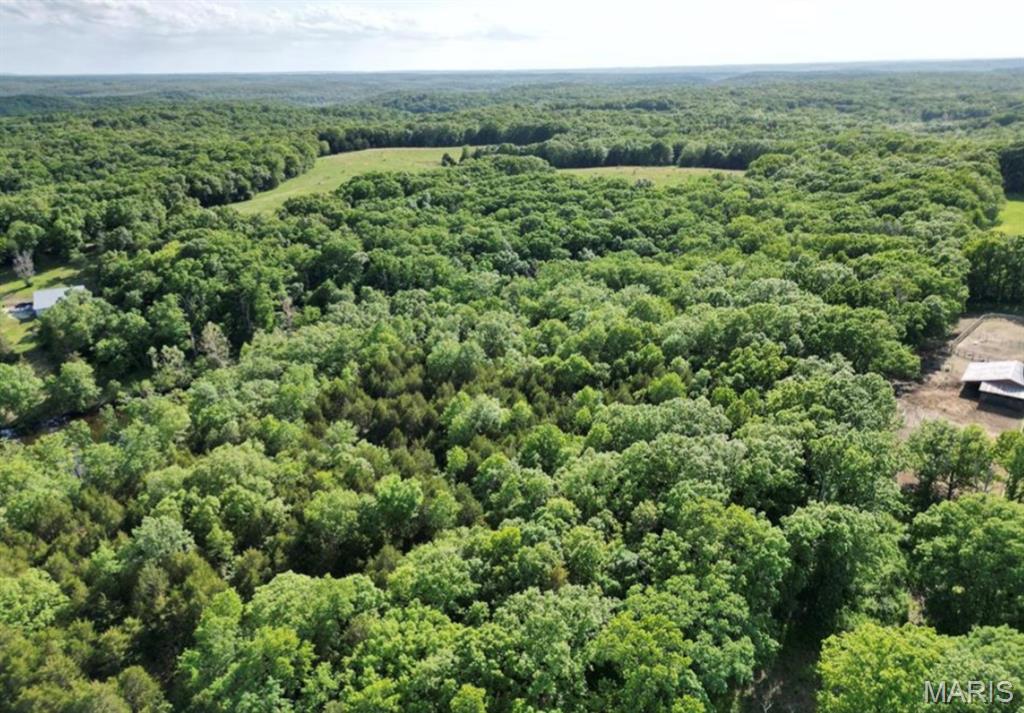 9041 Rye Creek Road Lonedell, MO 63060 - Photo 4 of 54