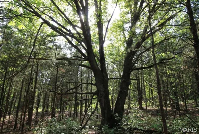 $80,000 | 9041 Rye Creek Road, Lonedell, MO 63060