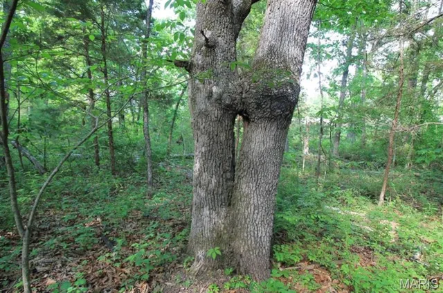 $80,000 | 9041 Rye Creek Road, Lonedell, MO 63060