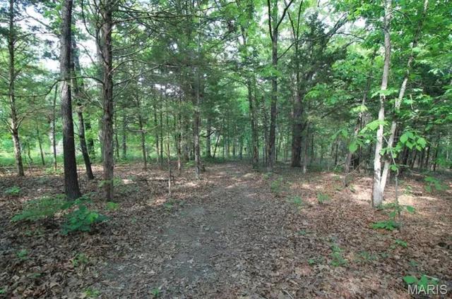 $80,000 | 9041 Rye Creek Road, Lonedell, MO 63060