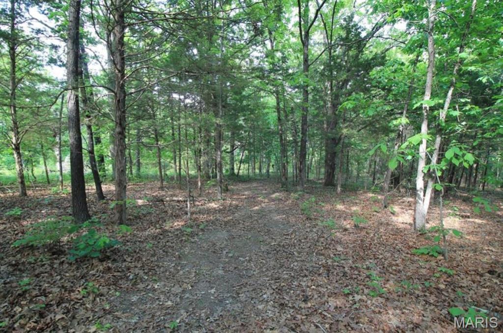 9041 Rye Creek Road Lonedell, MO 63060 - Photo 45 of 54