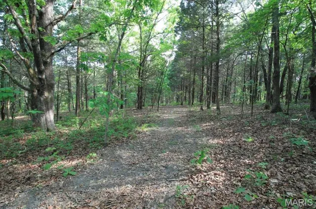 $80,000 | 9041 Rye Creek Road, Lonedell, MO 63060