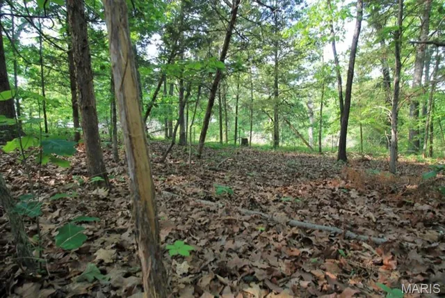 $80,000 | 9041 Rye Creek Road, Lonedell, MO 63060