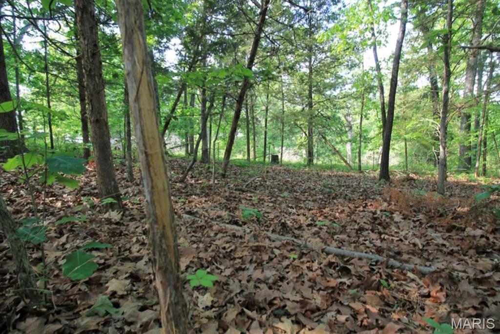 9041 Rye Creek Road Lonedell, MO 63060 - Photo 47 of 54