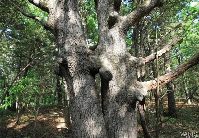 $80,000 | 9041 Rye Creek Road, Lonedell, MO 63060