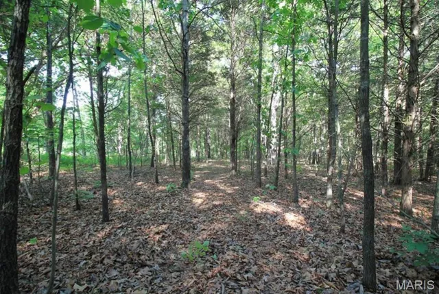 $80,000 | 9041 Rye Creek Road, Lonedell, MO 63060