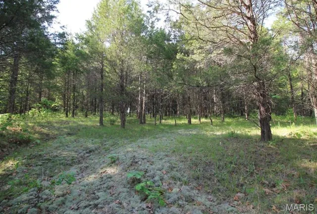 $80,000 | 9041 Rye Creek Road, Lonedell, MO 63060