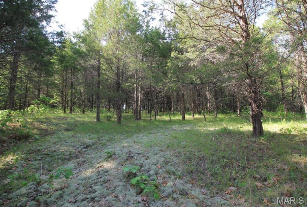 9041 Rye Creek Road Lonedell, MO 63060 - Photo 52 of 54