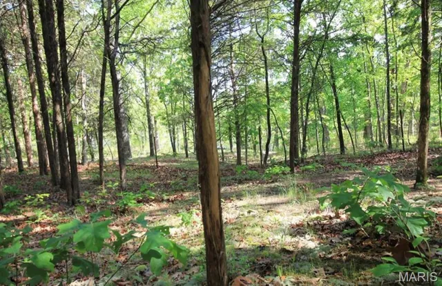 $80,000 | 9041 Rye Creek Road, Lonedell, MO 63060