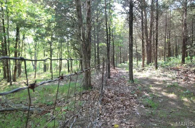 $80,000 | 9041 Rye Creek Road, Lonedell, MO 63060