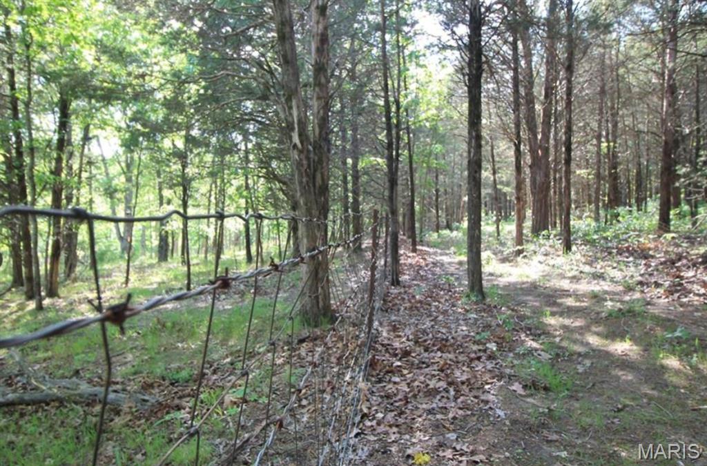 9041 Rye Creek Road Lonedell, MO 63060 - Photo 54 of 54