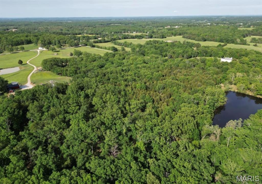 9041 Rye Creek Road Lonedell, MO 63060 - Photo 9 of 54